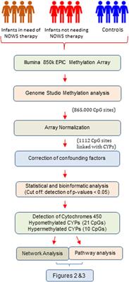 Placental cytochrome P450 methylomes in infants exposed to prenatal opioids: exploring the effects of neonatal opioid withdrawal syndrome on health horizons